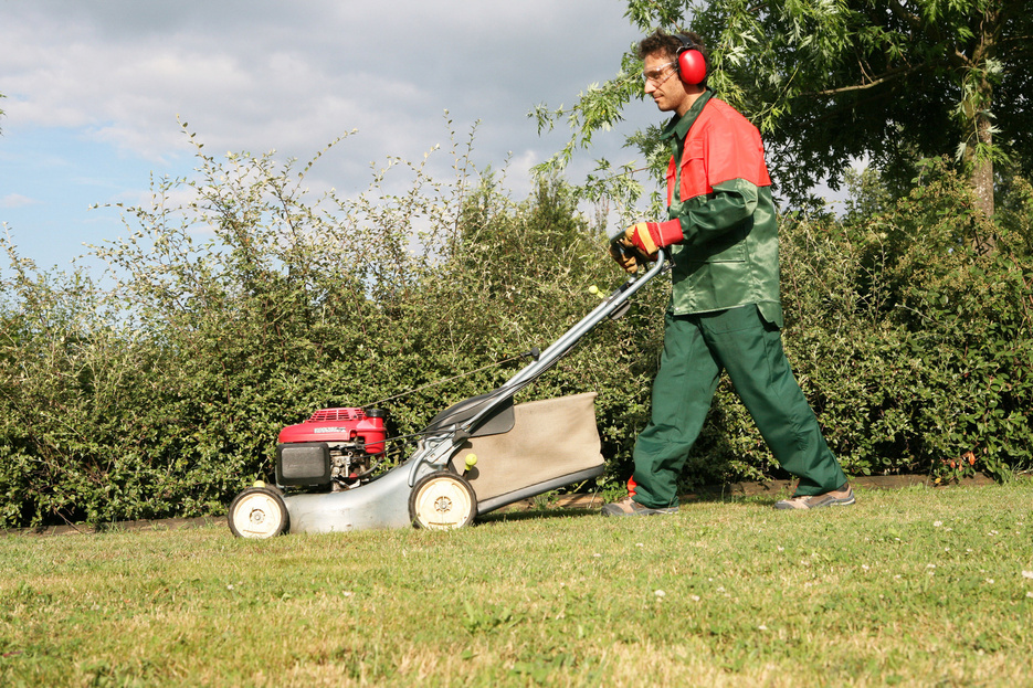 <center><img src=/admin/files/251/trait-studio.png></center>